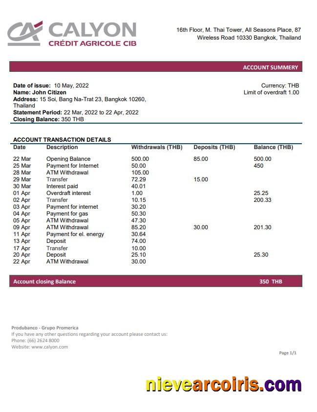 Thailand Calyon bank statement